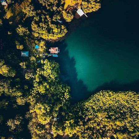 Dolphin Bay Hideaway Panzió Bocas Town Kültér fotó