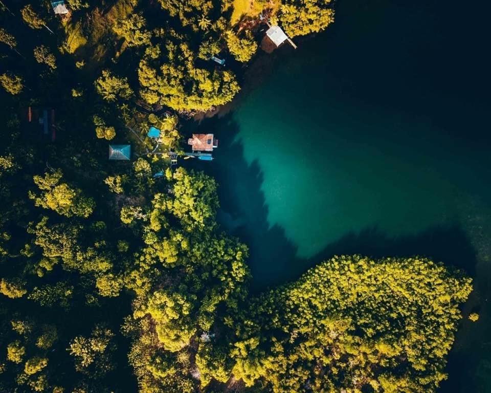 Dolphin Bay Hideaway Panzió Bocas Town Kültér fotó