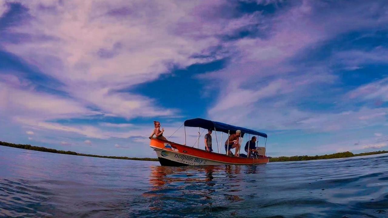 Dolphin Bay Hideaway Panzió Bocas Town Kültér fotó