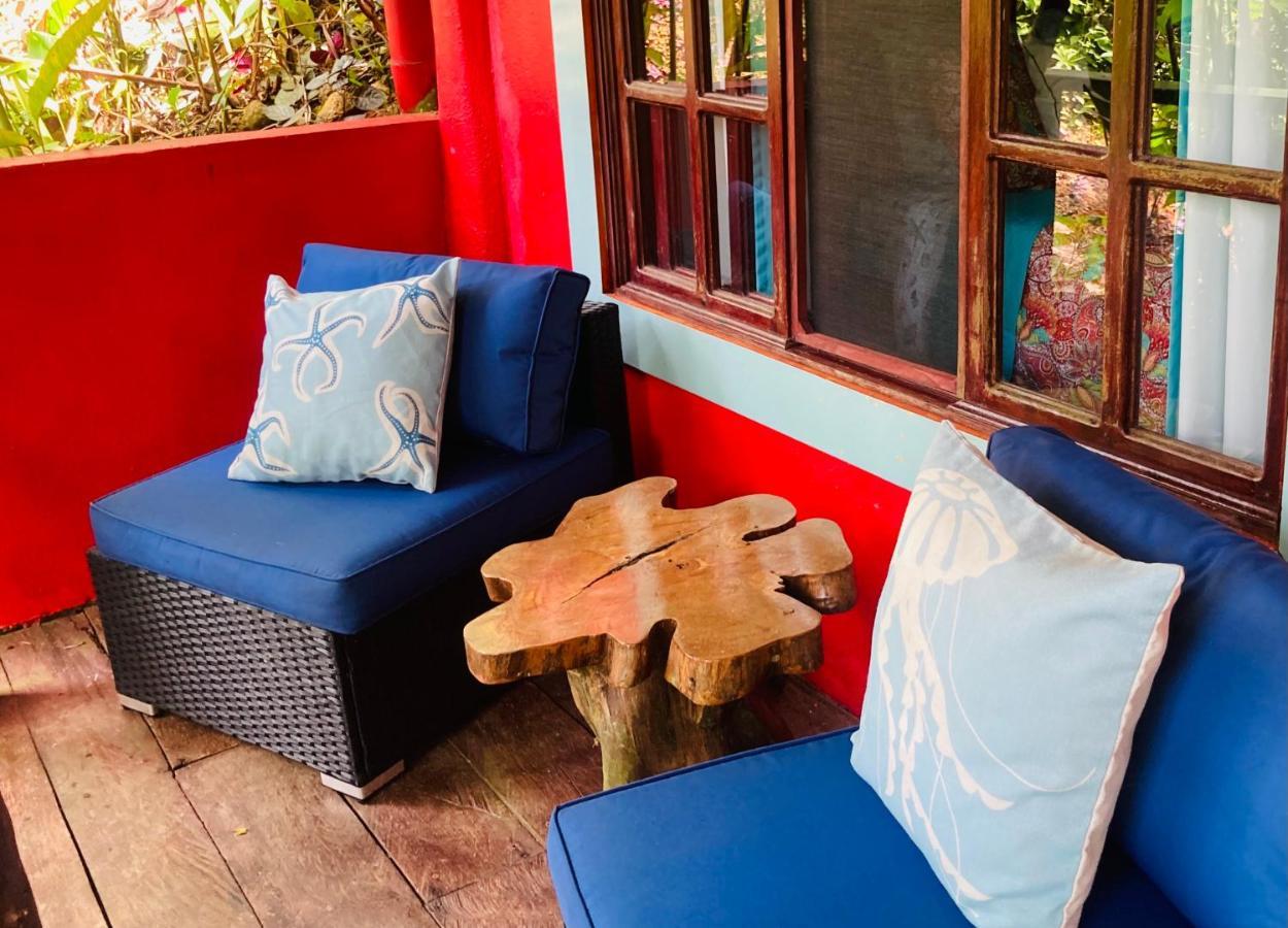 Dolphin Bay Hideaway Panzió Bocas Town Kültér fotó