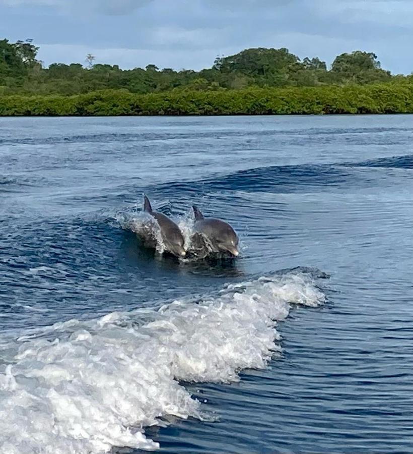 Dolphin Bay Hideaway Panzió Bocas Town Kültér fotó