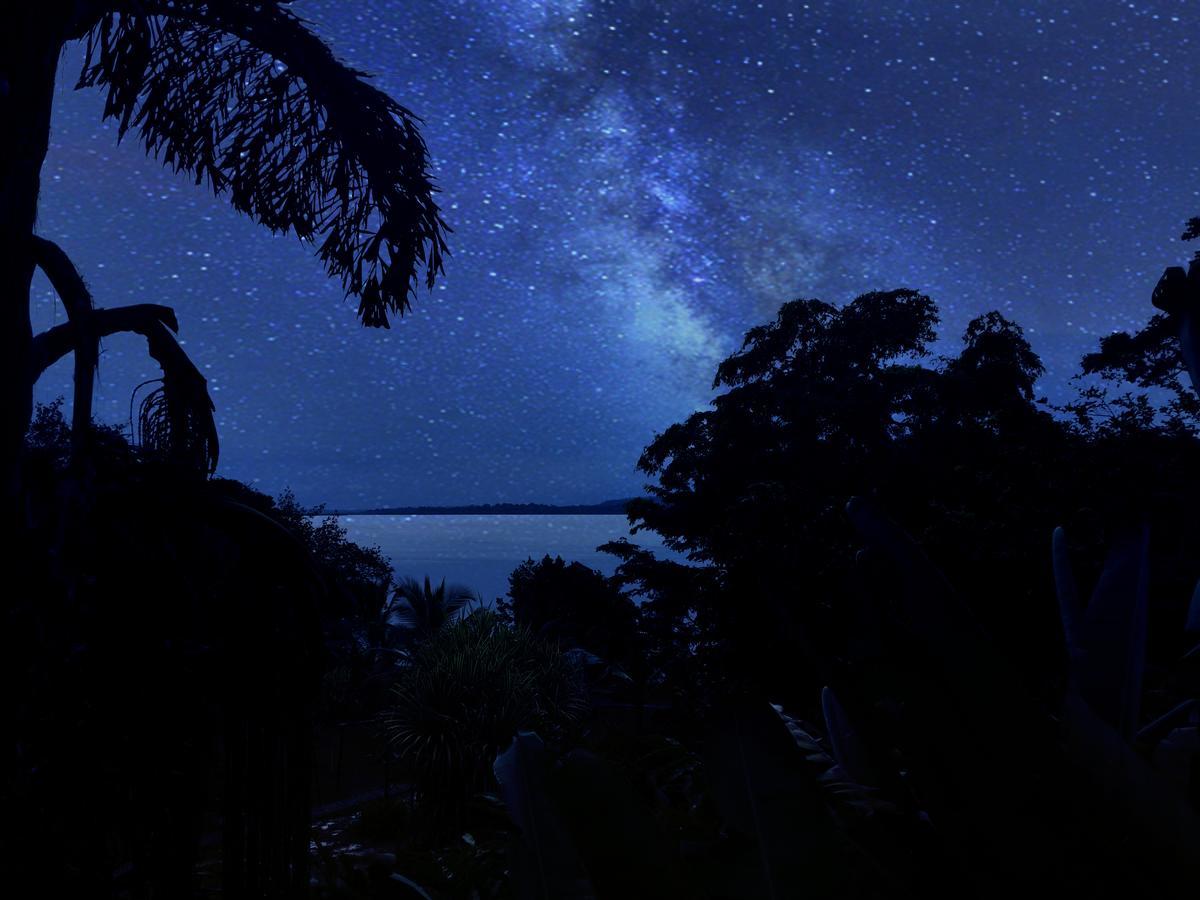 Dolphin Bay Hideaway Panzió Bocas Town Kültér fotó