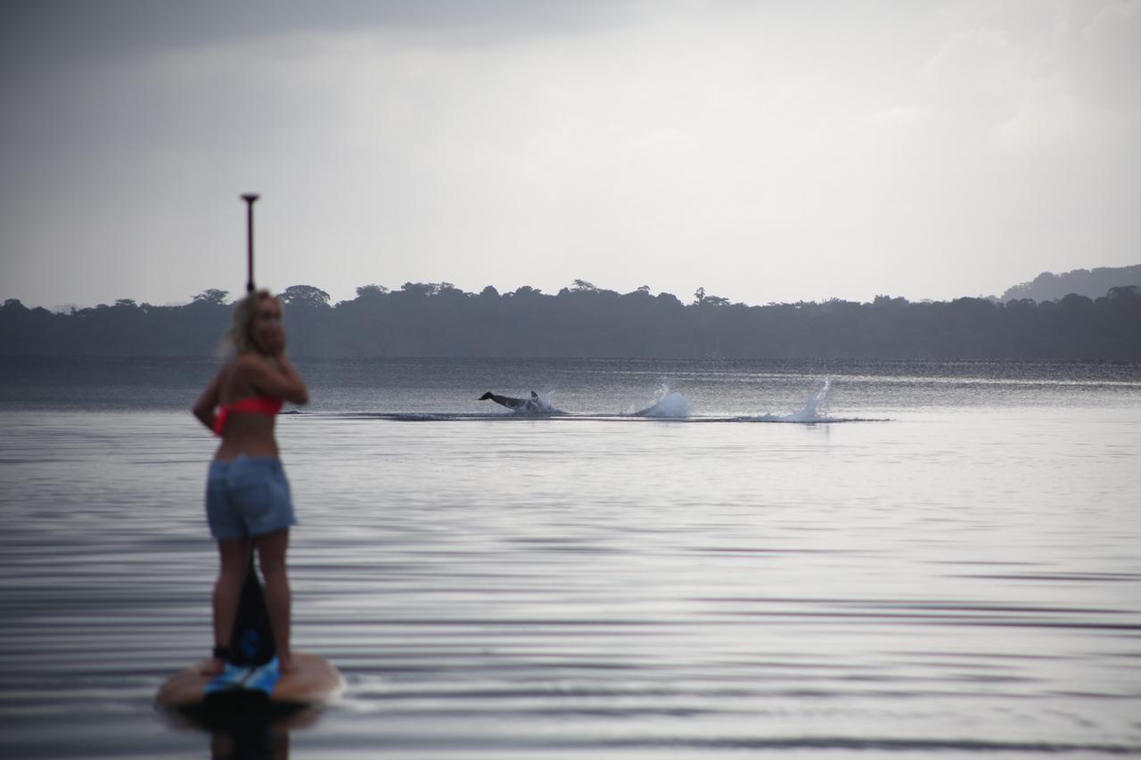 Dolphin Bay Hideaway Panzió Bocas Town Kültér fotó