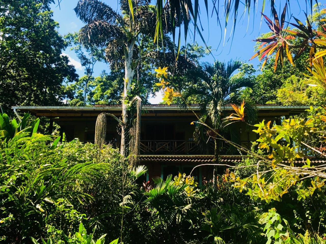 Dolphin Bay Hideaway Panzió Bocas Town Kültér fotó